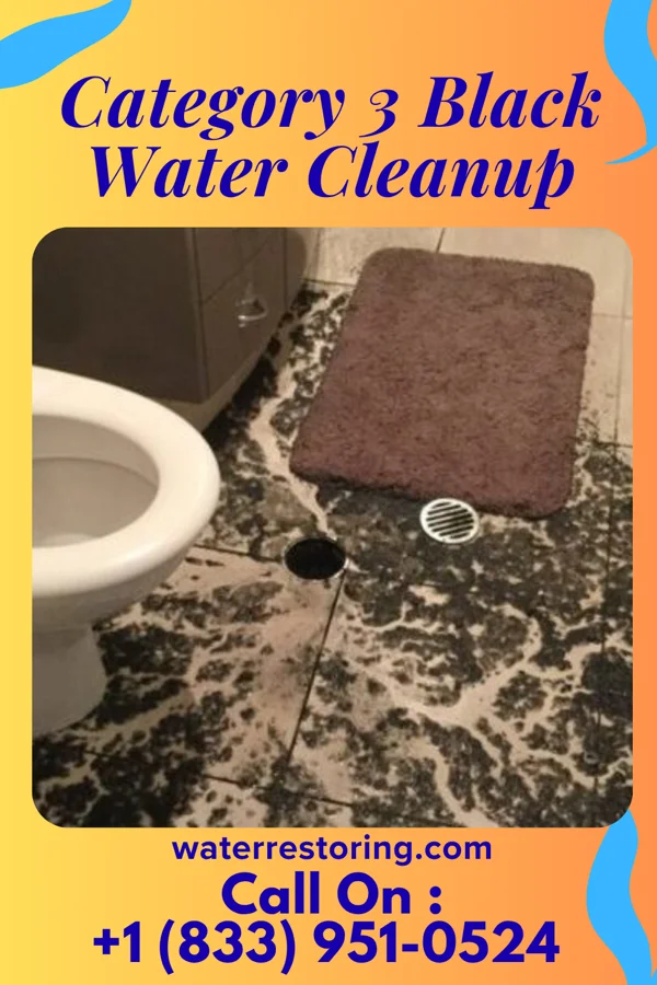 Category 3 Black Water Cleanup in Bartelso, IL
