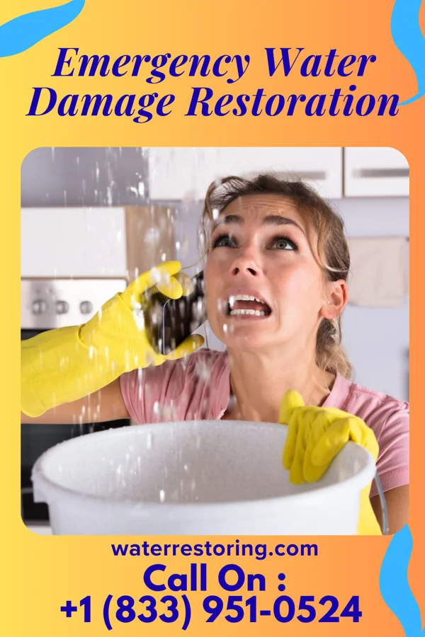 Emergency Water Damage Restoration in Bartelso, IL