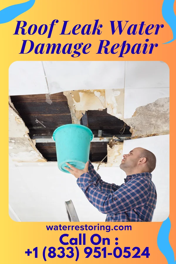 Roof Leak Water Damage Repair in Bartelso, IL