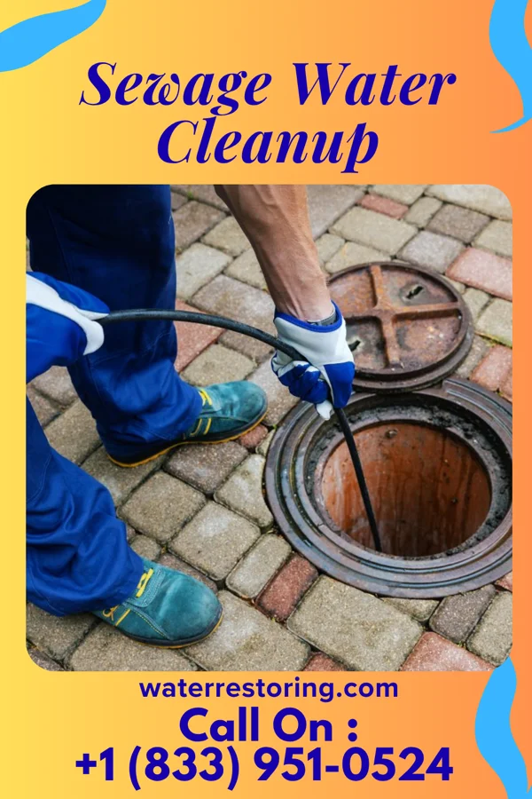 Sewage Water Cleanup in Bartelso, IL